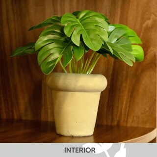 Foto 3 | Foto 3 | Monstera En Maceta De Cemento 15cm Color Café Hogar Interior