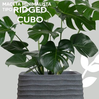 Foto 3 | Foto 3 | Maceta Acanalado Minimalista En Forma De Cubo Gris Claro