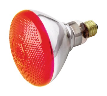 Foto 1 | Foto 1 | Bombilla Incandescente Satco Br40 Reflector 100 W 120 V E26 Rojo 1 Paquete - Venta Internacional.