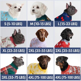 Foto 2 | Foto 2 | Pijama Navideño Para Perros Spark Paws Recovery Para Hombre Color Verde S - Venta Internacional.