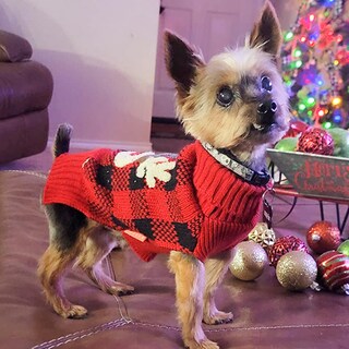 Foto 2 | Foto 2 | Jersey Para Perros Pequeños Kyeese Con Estampado Navideño De Renos Color Rojo - Venta Internacional.