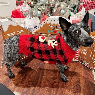 Foto 3 | Foto 3 | Jersey Para Perros Pequeños Kyeese Con Estampado Navideño De Renos Color Rojo - Venta Internacional.