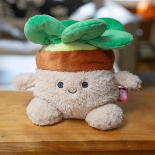 Foto 4 | Foto 4 | Juego De Sillones Reclinables Ralph & Succulent De Peluche 19 Cm De Toy Figure Bumbumz - Venta Internacional.