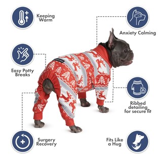Foto 4 | Foto 4 | Pijama Para Perro Spark Paws Recovery Traje De Invierno Para Hombre Talla M - Venta Internacional.