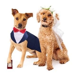 Foto 7 | Foto 7 | Conjunto De Esmoquin Para Perro Pumyporeity Talla L Grande Formal Azul - Venta Internacional.