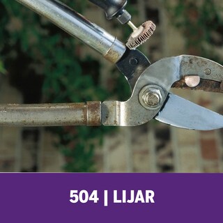 Foto 4 | Foto 4 | Lijadora Flapwheel Dremel 504 Herramienta Giratoria Con Vástago De 4 8 Mm Grano 80 - Venta Internacional.