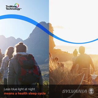 Foto 4 | Foto 4 | Bombilla Ledvance Sylvania Truwave De 40 W A15 Luz Diurna Paquete De 2 - Venta Internacional.