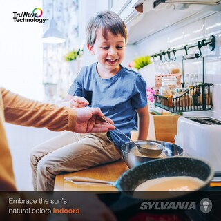 Foto 5 | Foto 5 | Bombilla Ledvance Sylvania Truwave De 40 W A15 Luz Diurna Paquete De 2 - Venta Internacional.