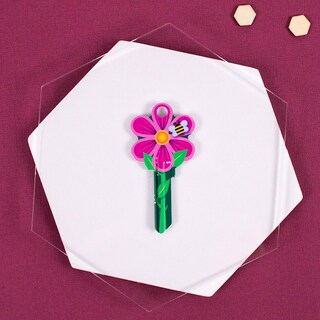 Foto 3 | Foto 3 | Llave En Blanco Con Forma De Llave Lucky Line Con Forma De Casa De Flores Sc1 - Venta Internacional.