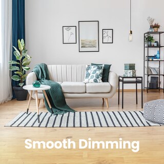 Foto 3 | Foto 3 | Bombilla Feit Electric St19 Vintage Edison De 40 W Regulable Paquete De 2 - Venta Internacional.