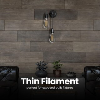 Foto 4 | Foto 4 | Bombilla Feit Electric St19 Vintage Edison De 40 W Regulable Paquete De 2 - Venta Internacional.