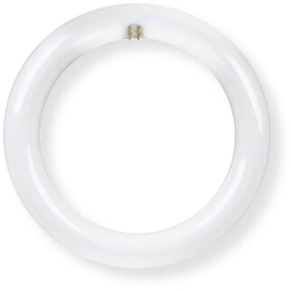 Foto 1 | Foto 1 | Bombilla Feit Electric Fc8 8 Pulgadas Circular 1400 Lm 15 W 120 V - Venta Internacional.