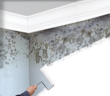 Foto 4 | Foto 4 | Imprimador Antimoho Paint Zinsser 3 8 L A Base De Agua - Venta Internacional.