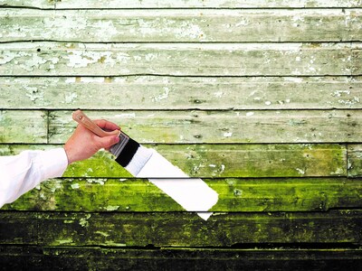 Foto 5 | Foto 5 | Imprimador Antimoho Paint Zinsser 3 8 L A Base De Agua - Venta Internacional.