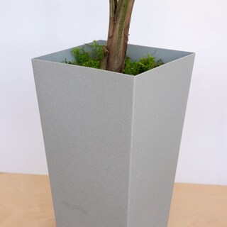 Foto 4 | Foto 4 | Maceta Bloem Tall Finley 20 Pulgadas Gris Cemento 5 Galones - Venta Internacional.