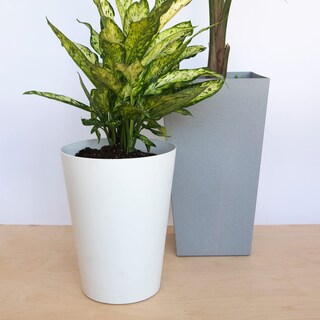 Foto 6 | Foto 6 | Maceta Bloem Tall Finley 20 Pulgadas Gris Cemento 5 Galones - Venta Internacional.
