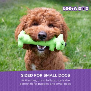 Foto 7 | Foto 7 | Juguete Para Perros Con Múltiples Mascotas Látex Chirriante 15 Cm Color Aleatorio - Venta Internacional.