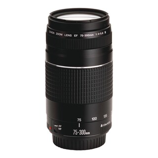 Foto 4 | Foto 4 | Cámara Réflex Digital Canon Eos Rebel T7 Con Lentes De 18-55 Mm Y 75-300 Mm - Venta Internacional.