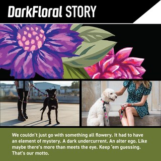 Foto 2 | Foto 2 | Collar Para Perro Wolfgang Man & Beast Ajustable Resistente Tamaño Mediano - Venta Internacional.