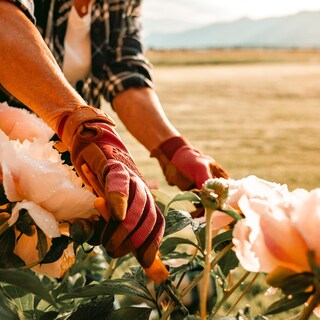 Foto 3 | Foto 3 | Guantes De Trabajo Y Jardinería Wells Lamont Para Mujer Color Rosa Talla Pequeña - Venta Internacional.