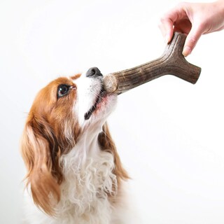 Foto 2 | Foto 2 | Juguete Masticable Para Perros Benebone Maplestick Duradero Para Masticadores Agresivos - Venta Internacional.