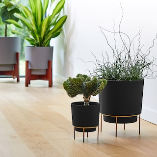 Foto 6 | Foto 6 | Maceta Bloem Hopson De 15 Cm De Plástico Negro Con Soporte Dorado - Venta Internacional.