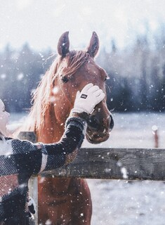 Foto 5 | Foto 5 | Guantes De Invierno Watson Gloves Lady Baa Baa Con Pantalla Táctil M - Venta Internacional.