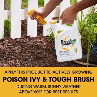 Foto 6 | Foto 6 | Cepillo Resistente Para Herbicidas Roundup Poison Ivy Plus 3 8 L - Venta Internacional.