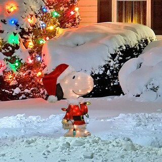 Foto 4 | Foto 4 | Exhibidor Exterior Iluminado Productworks Snoopy Papá Noel 61 Cm - Venta Internacional.