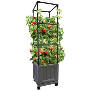 Foto 1 | Foto 1 | Soporte Para Plantas Trepadoras Emsco City Picker Trellis Tower - Venta Internacional.