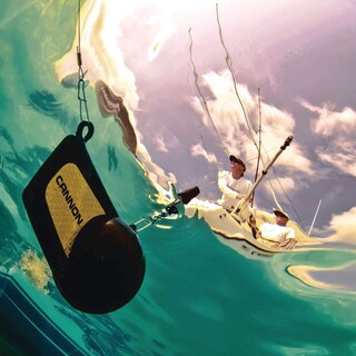 Foto 6 | Foto 6 | Cañón De Peso Downrigger 2295184 De 4 5 Kg - Venta Internacional.