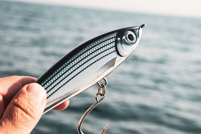 Foto 3 | Foto 3 | Señuelo De Pesca Rapala X-rap Magnum Stick 17 Mullet - Venta Internacional.