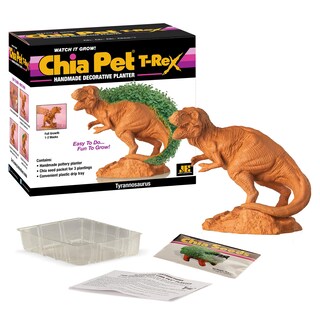 Foto 2 | Foto 2 | Maceta Decorativa De Cerámica Chia Pet T-rex Tyrannosaurus - Venta Internacional.