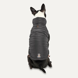 Foto 1 | Foto 1 | Chaqueta para Perro - Venta Internacional