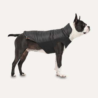 Foto 2 | Foto 2 | Chaqueta para Perro - Venta Internacional