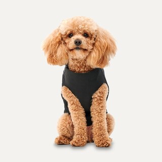 Foto 3 | Foto 3 | Chaqueta para Perro - Venta Internacional