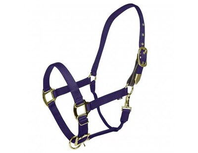 Foto 1 | Foto 1 | Cabestro Para Caballos Gatsby Gold Safety Breakaway Color Morado - Venta Internacional.