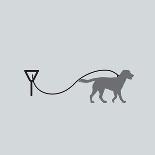 Foto 7 | Foto 7 | Cable de Amarre Four Paws 5 m - Venta Internacional
