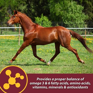 Foto 6 | Foto 6 | Suplemento Nutricional Animal Farnam Laser Sheen 7.5 lb - Venta Internacional