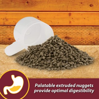 Foto 7 | Foto 7 | Suplemento Nutricional Animal Farnam Laser Sheen 7.5 lb - Venta Internacional
