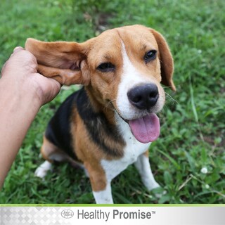 Foto 5 | Foto 5 | Limpieza De Orejas Four Paws Healthy Promise 118 Ml Alivio De Picazón - Venta Internacional.