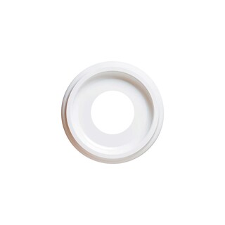 Foto 1 | Foto 1 | Medallón De Techo Westinghouse 7703700 Blanco Liso 25 Cm - Venta Internacional.