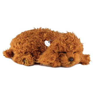 Foto 1 | Foto 1 | Juguete Interactivo De Peluche Perfect Petzzz Poodle Para Mascotas - Venta Internacional.
