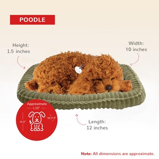 Foto 3 | Foto 3 | Juguete Interactivo De Peluche Perfect Petzzz Poodle Para Mascotas - Venta Internacional.