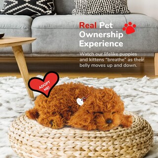 Foto 5 | Foto 5 | Juguete Interactivo De Peluche Perfect Petzzz Poodle Para Mascotas - Venta Internacional.