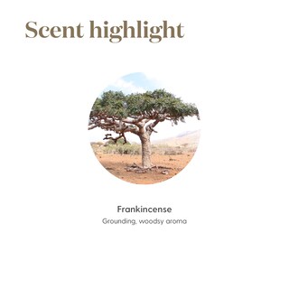 Foto 4 | Foto 4 | Aceite Esencial De Incienso Young Living 5 Ml - Venta Internacional.