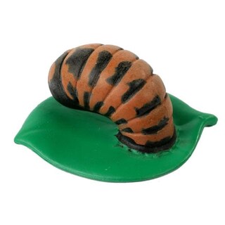 Foto 4 | Foto 4 | Kit De Cultivo De Mariquitas Recambio Insect Lore Live Baby Ladybug - Venta Internacional.