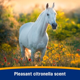 Foto 4 | Foto 4 | Aerosol Insecticida Farnam Broncoe Citronella 3785 Ml - Venta Internacional.