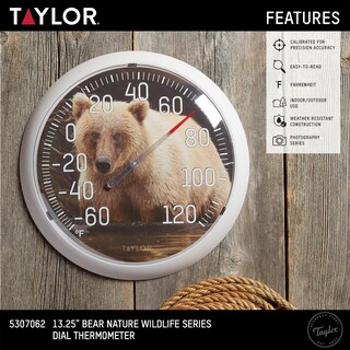 Foto 2 | Foto 2 | Termómetro Taylor Bear Dial De 13 Pulgadas Para Interiores Y Exteriores - Venta Internacional.
