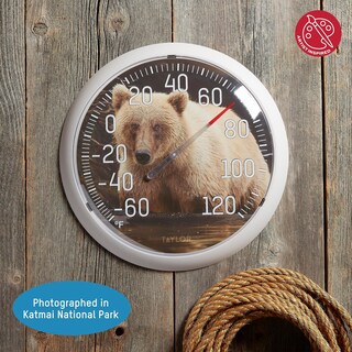Foto 3 | Foto 3 | Termómetro Taylor Bear Dial De 13 Pulgadas Para Interiores Y Exteriores - Venta Internacional.